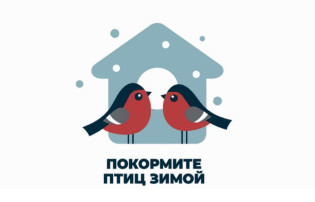 Экологическая акция "Покормите птиц зимой" Экологическая акция "Покормите птиц зимой".